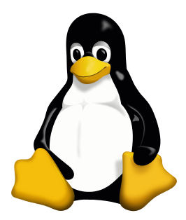 Webhosting with Linux